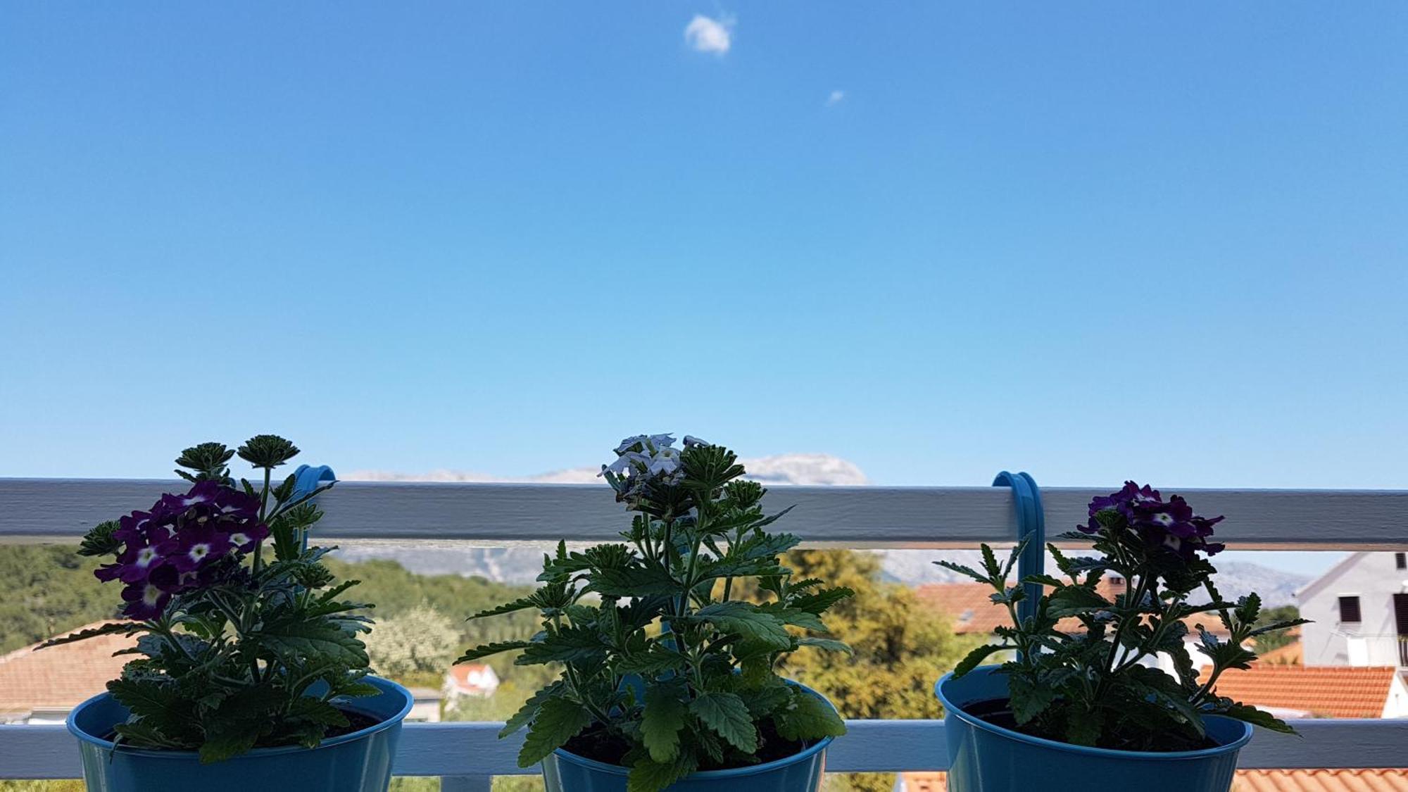 Apartman Lucija Korčula Екстериор снимка