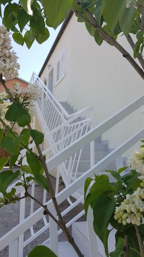 Apartman Lucija Korčula Екстериор снимка