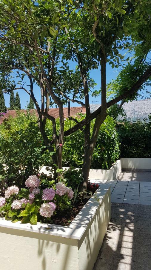 Apartman Lucija Korčula Екстериор снимка